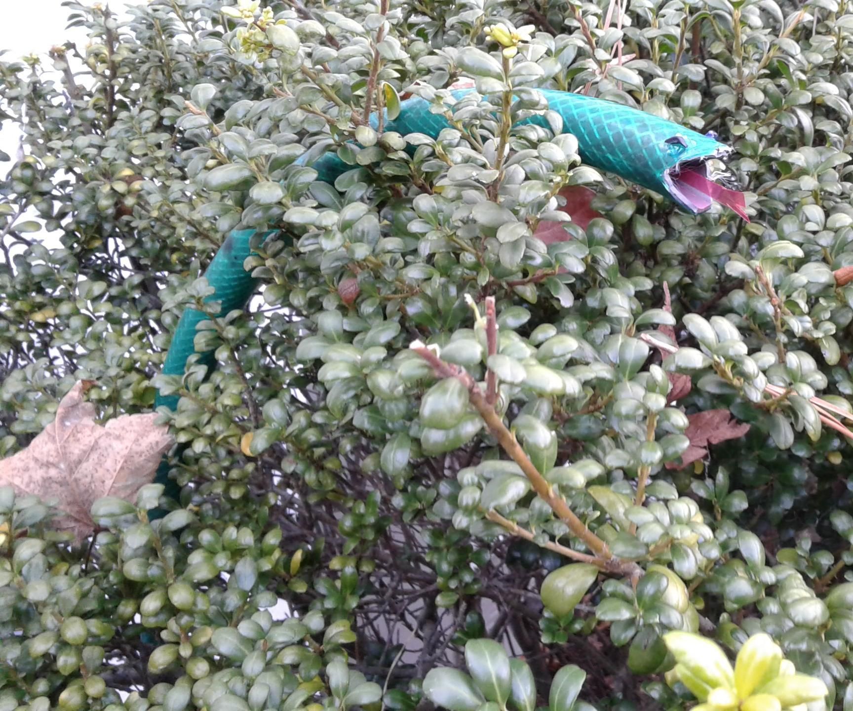 Plastic Hose Snake Prop