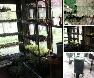 A Greener Life