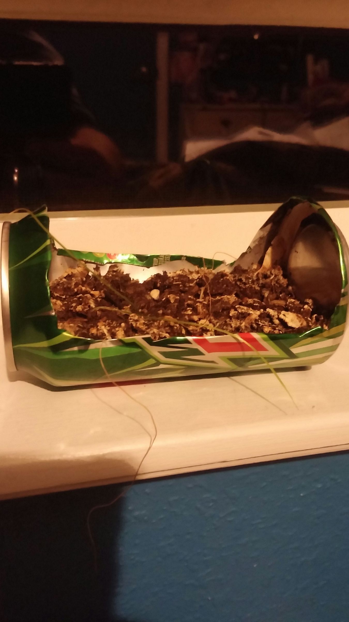 Soda Can Planter!