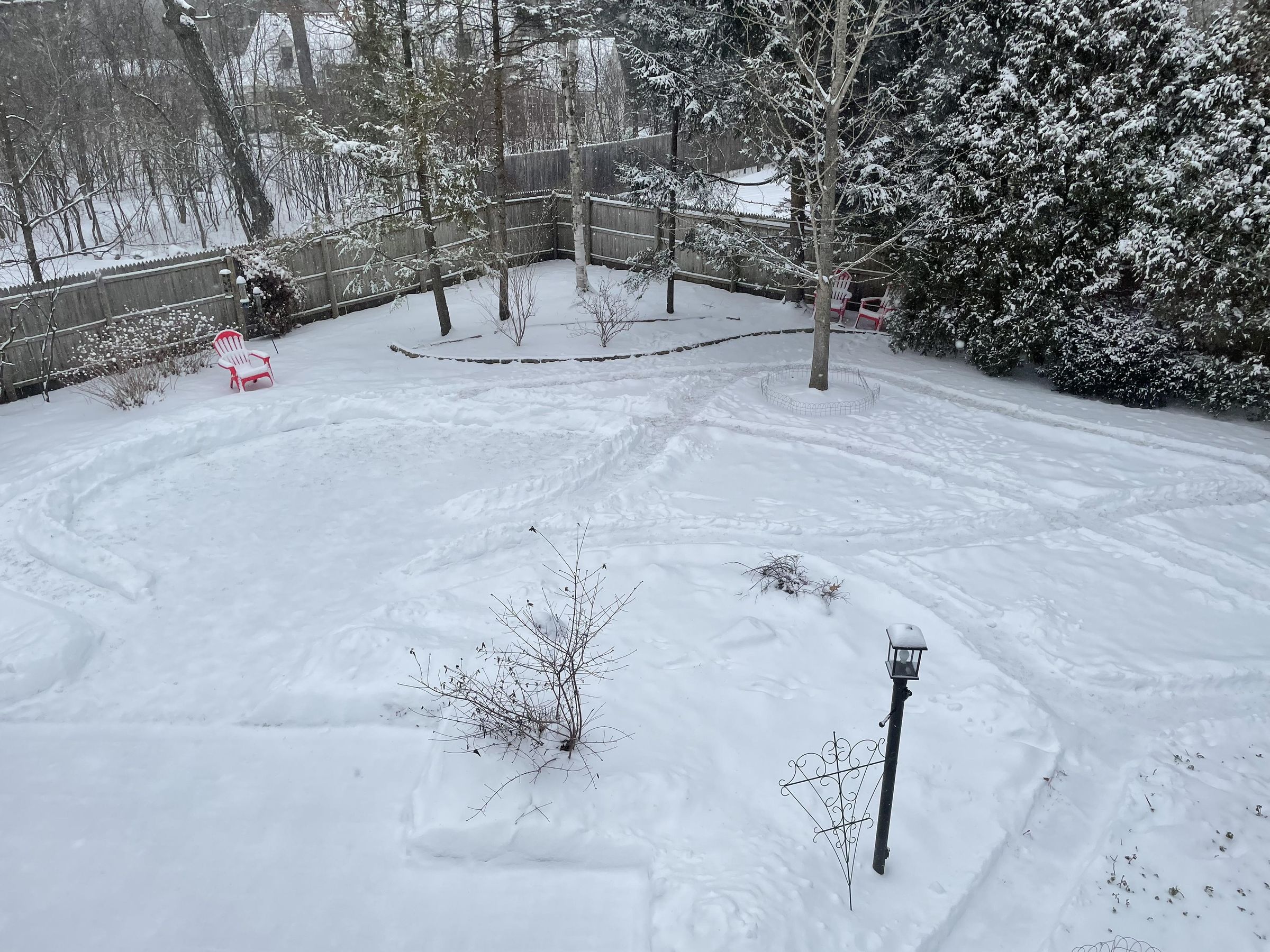 Outdoor Winter Dog Entertainment!