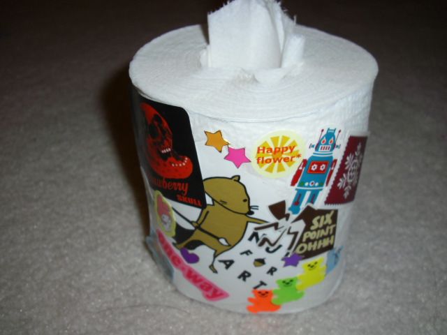 Toilet Paper Into a Nice Tissue Dispenser
