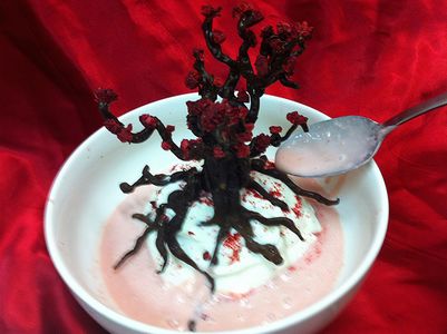 Chocolate Raspberry Tree