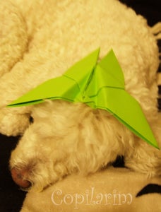 Green Butterfly