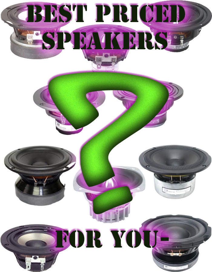 Selecting the Best Speaker for You and Your Munny Speakers!