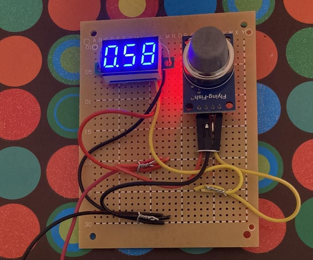 Gas Detector