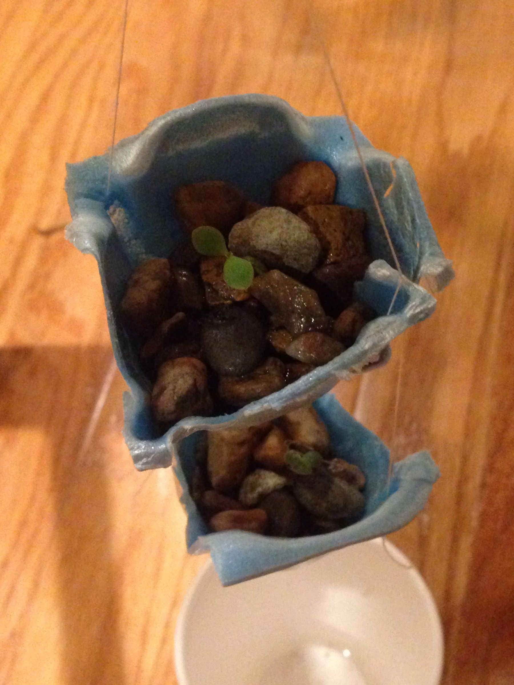 Connected Gravity Drip Pots