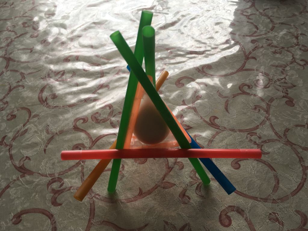 Easy and Lightweight Egg Drop Protection Device 5 Steps