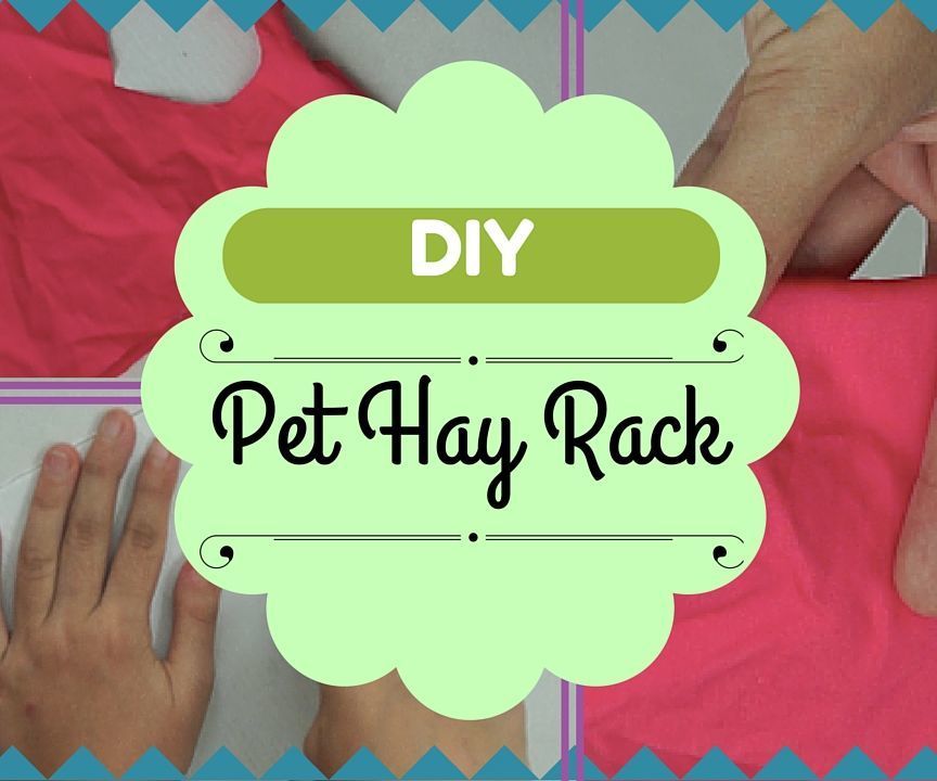 D.I.Y Hay Rack (For Rabbits and Guinea Pigs)