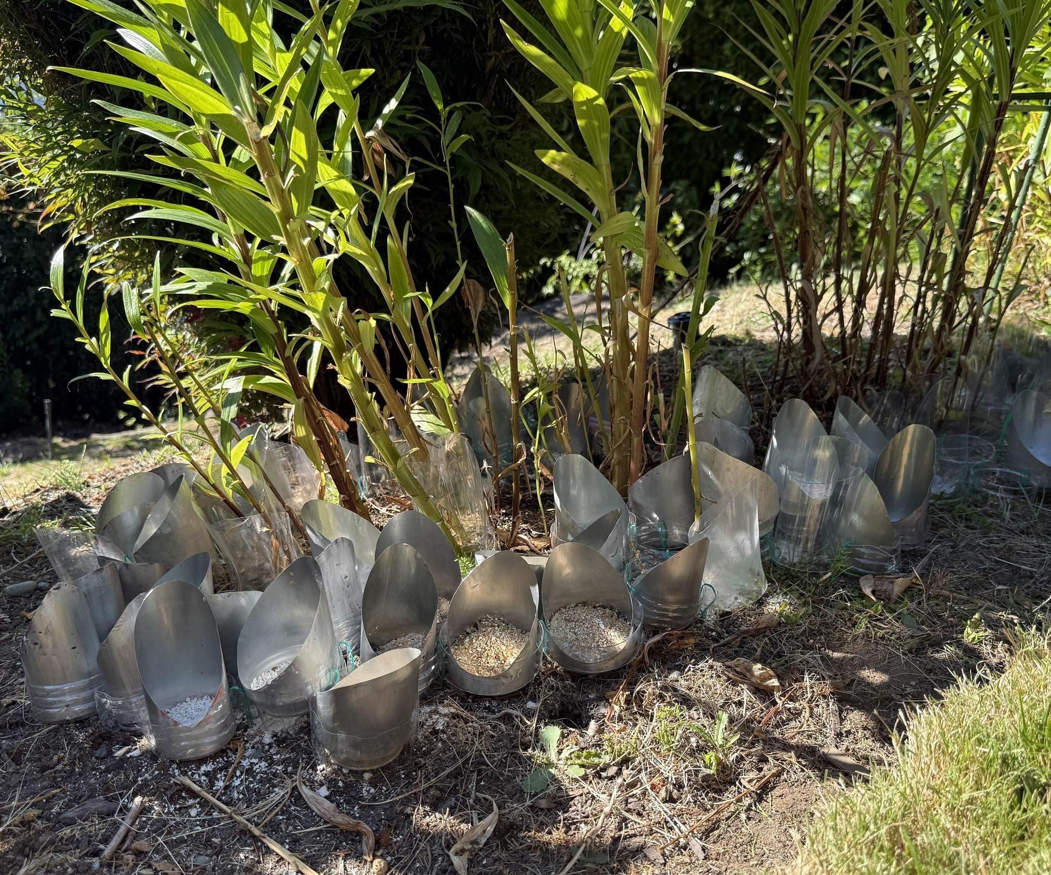 Bloom Shields- an Adaptive, Upcycled Sculptural Rabbit's "No-Sit" Zone