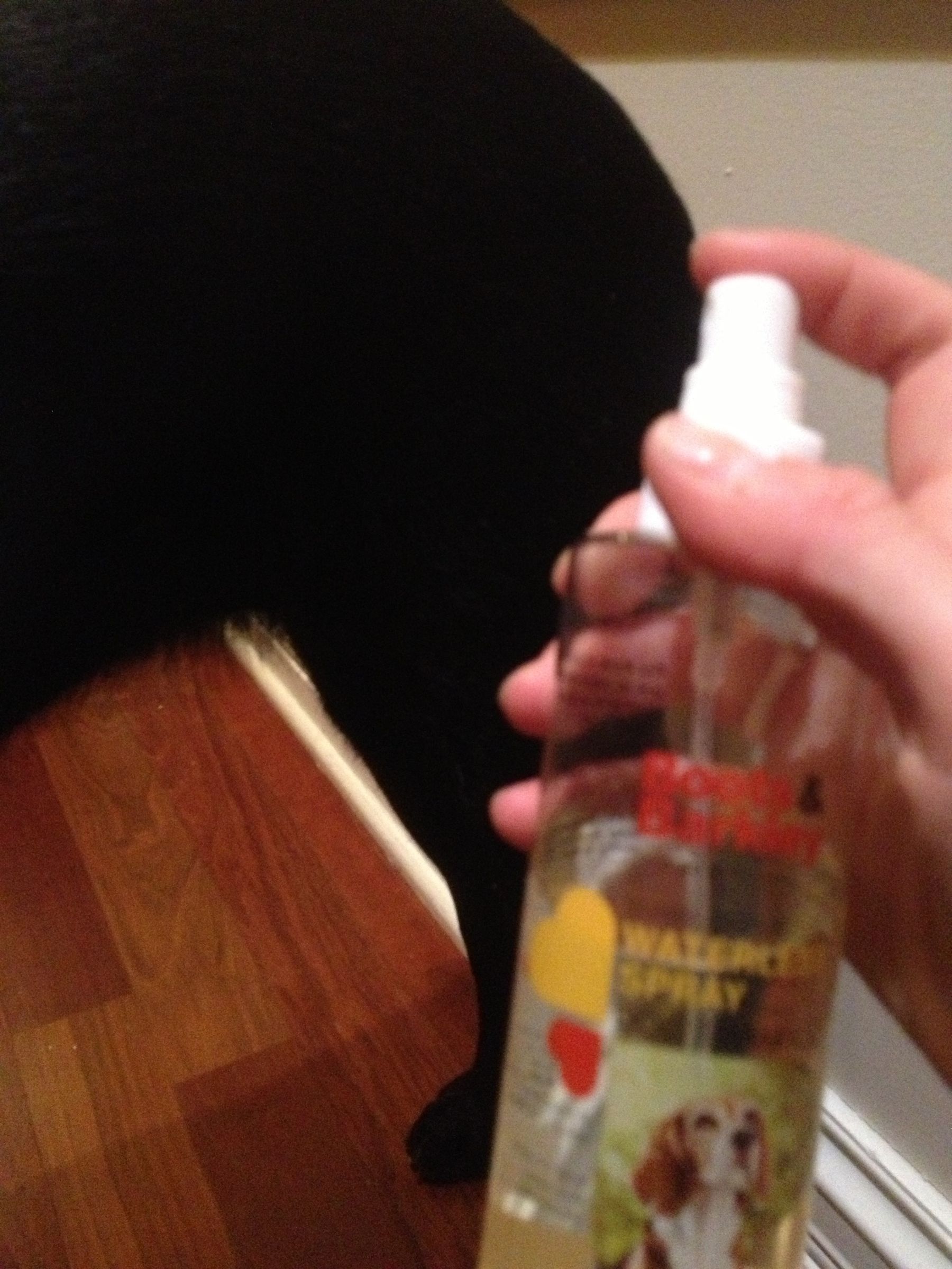 Quick Doggy Bath (waterless) 4 Steps Instructables