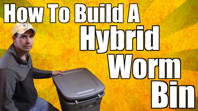 How to Build a Hybrid Worm Bin