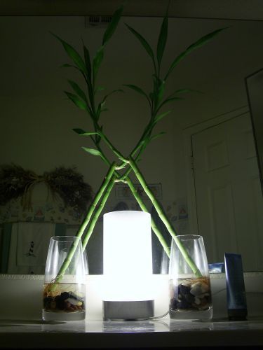 Glass Tube Table Lamp for Under $20