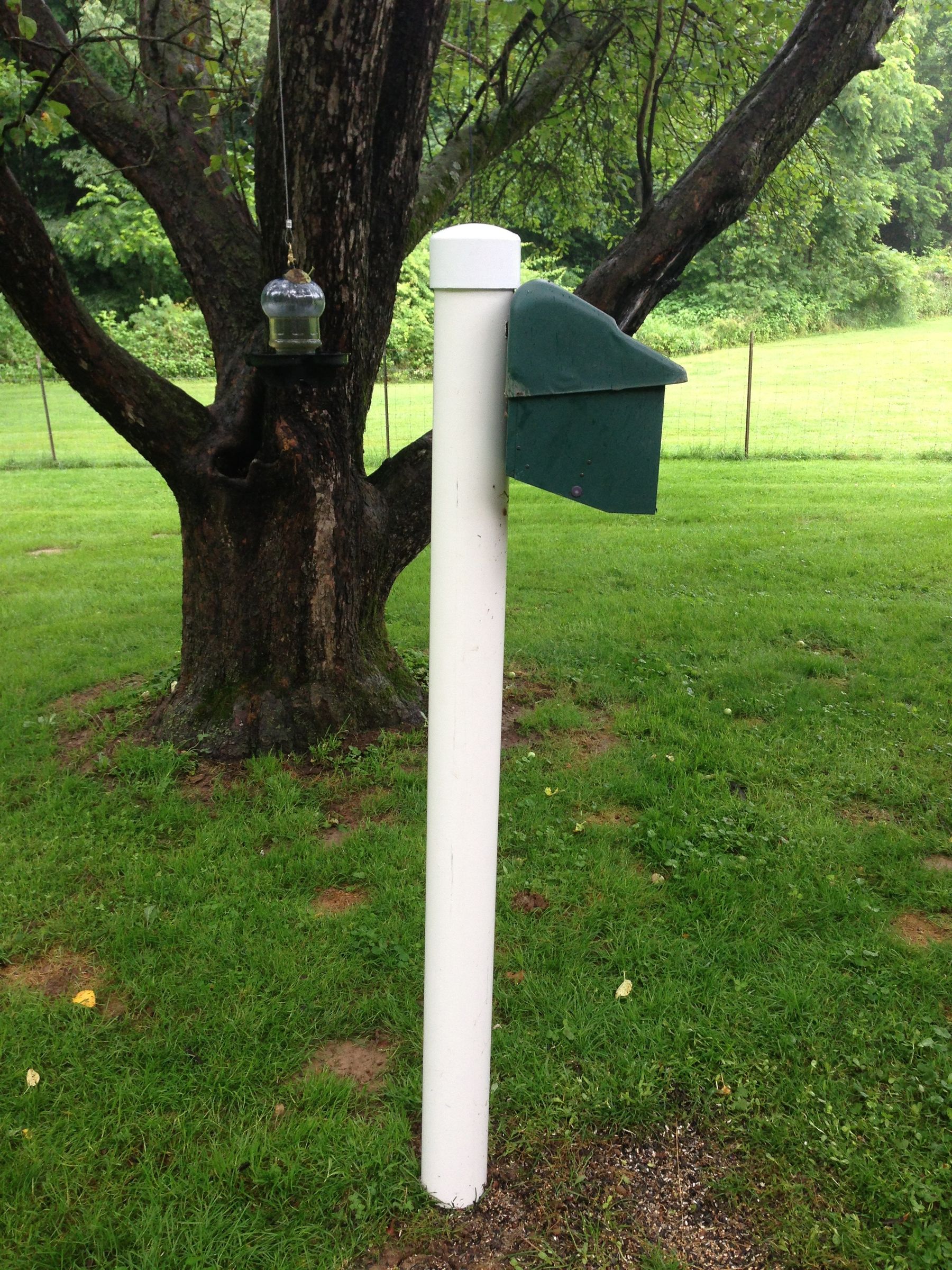 Bird Feeder Squirrel Baffle