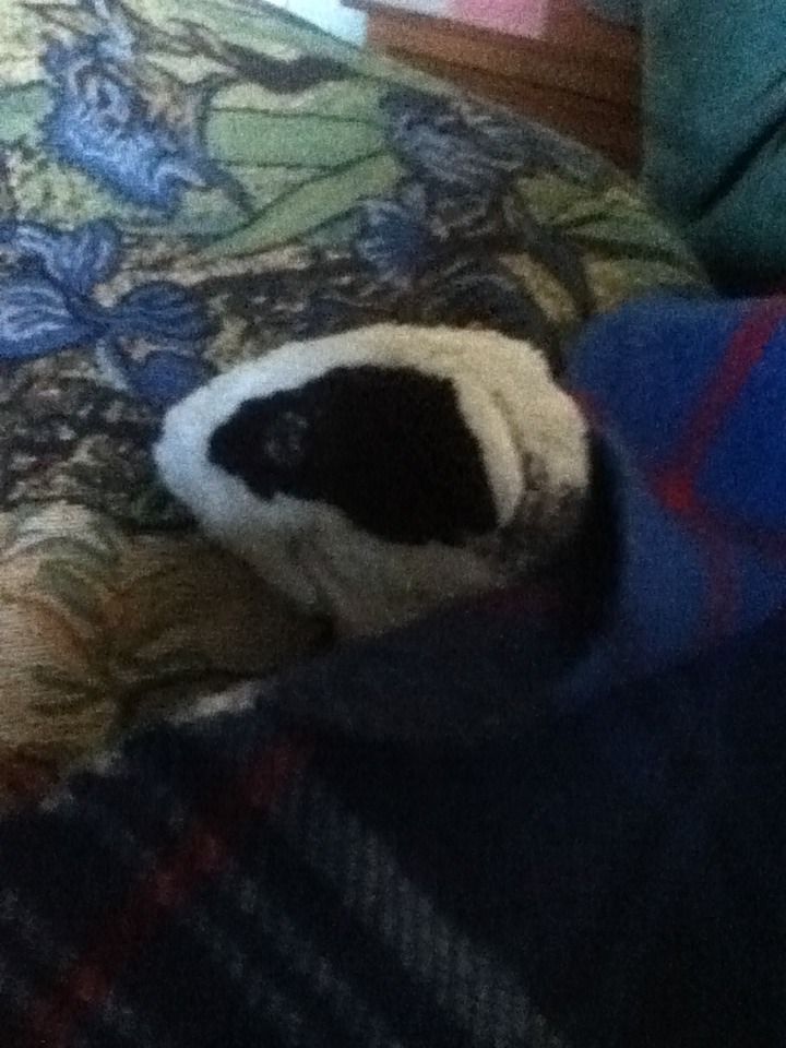 How to Fall Asleep Faster