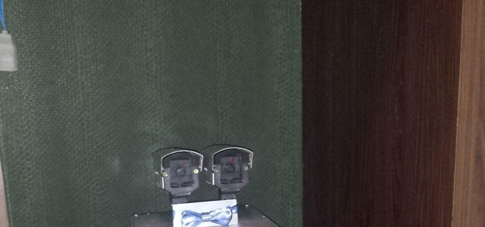 Why Build a Robot for the Wedding?