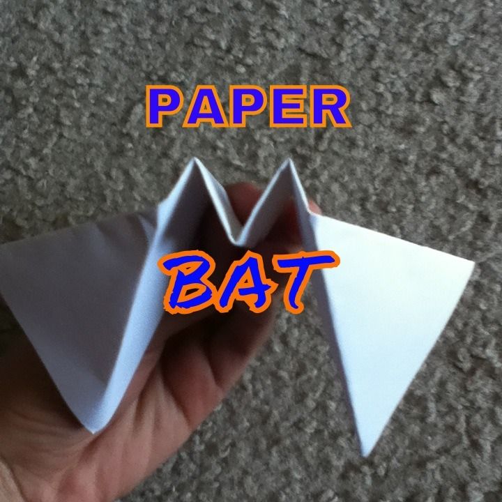 Paper Bat