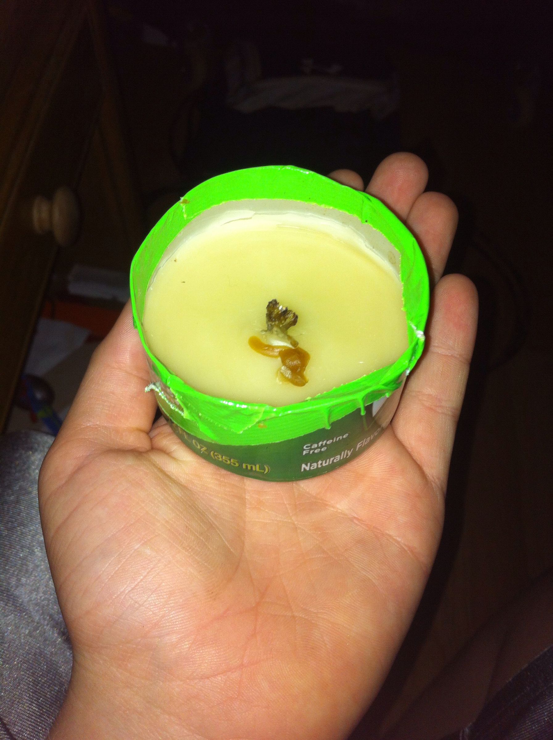 Bees Wax Candle