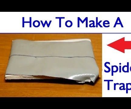 How to Make a Spider Trap