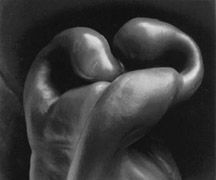 How to Take a Edward Weston Inspired Photograph