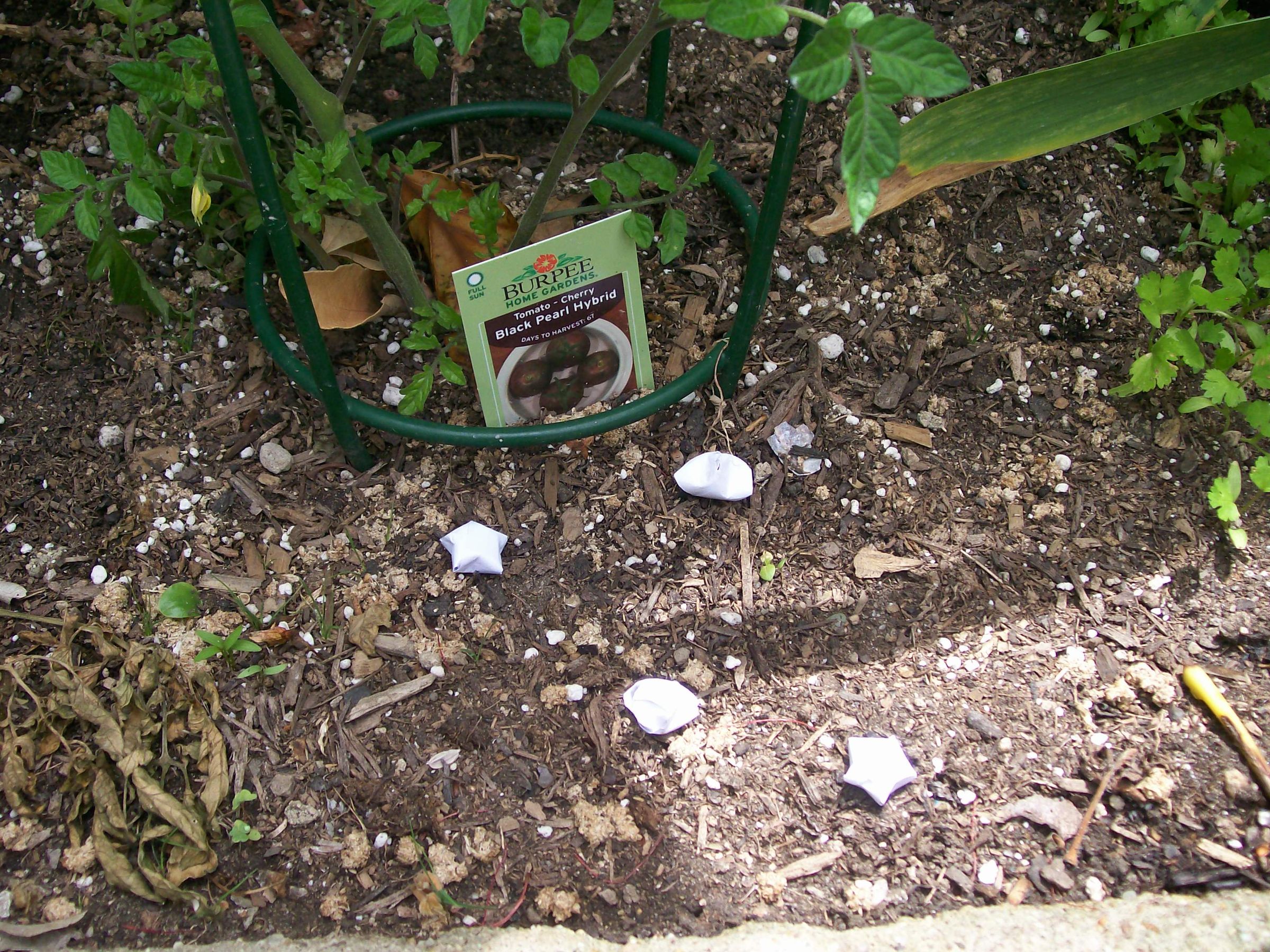 Green Snail Pellets 10 Steps Instructables