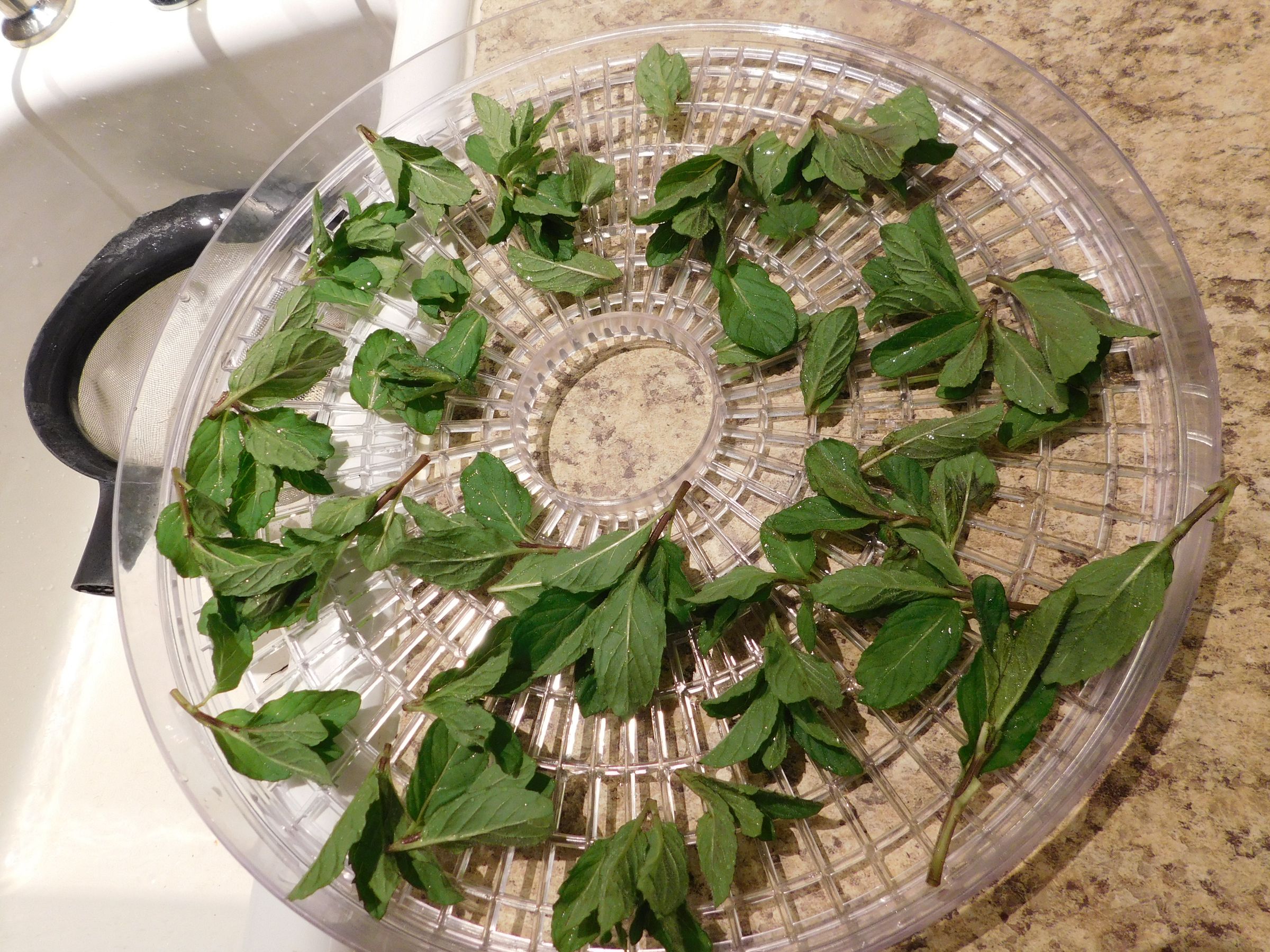 Best Toothpaste Eva : 4 Steps (with Pictures) - Instructables