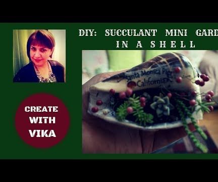 SUCCULENT MINI GARDEN IN a SHELL