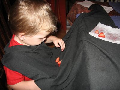 The Bibblecloth Is Complete!  Try It Out Quickly!