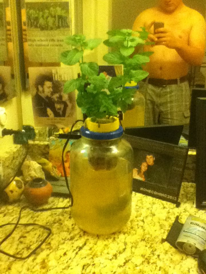 Bathroom Hydroponics