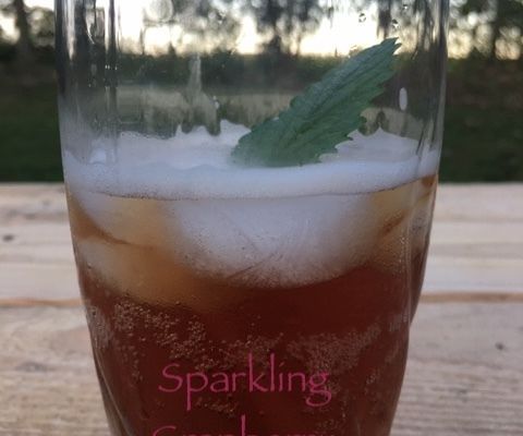 Sparkling Cranberry Kombucha