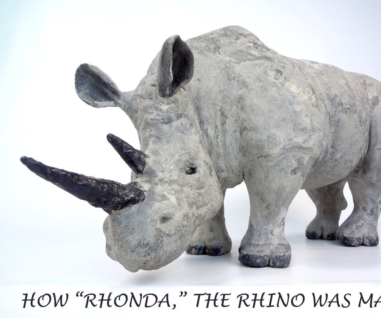 Rhonda the Rhino