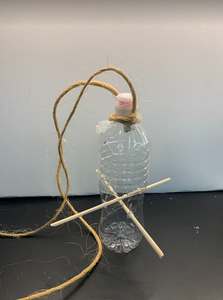 Hanging Bird Feeder