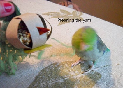 Make It Interactive: Nesting Material