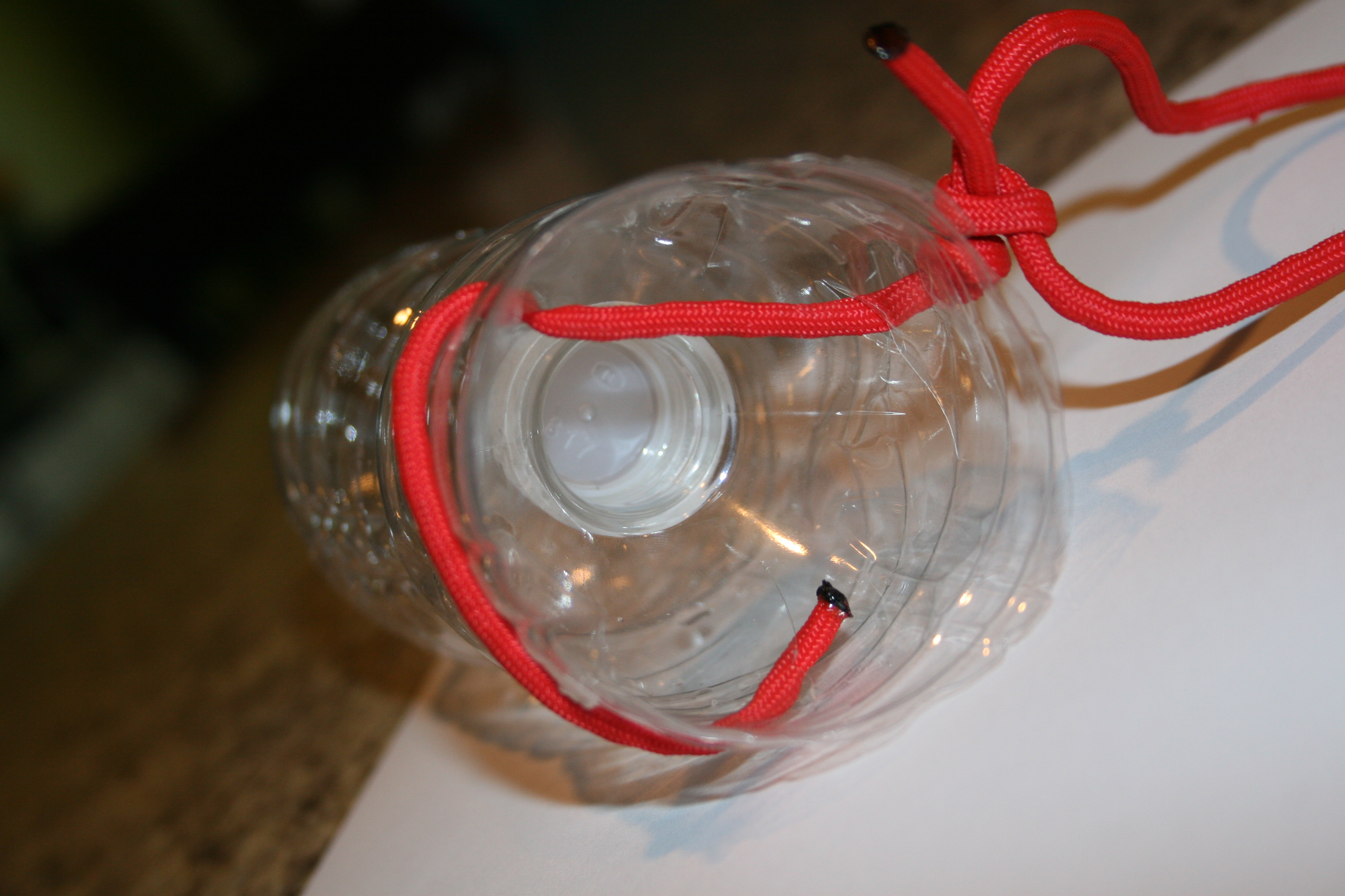 How to make a survival minnow trap