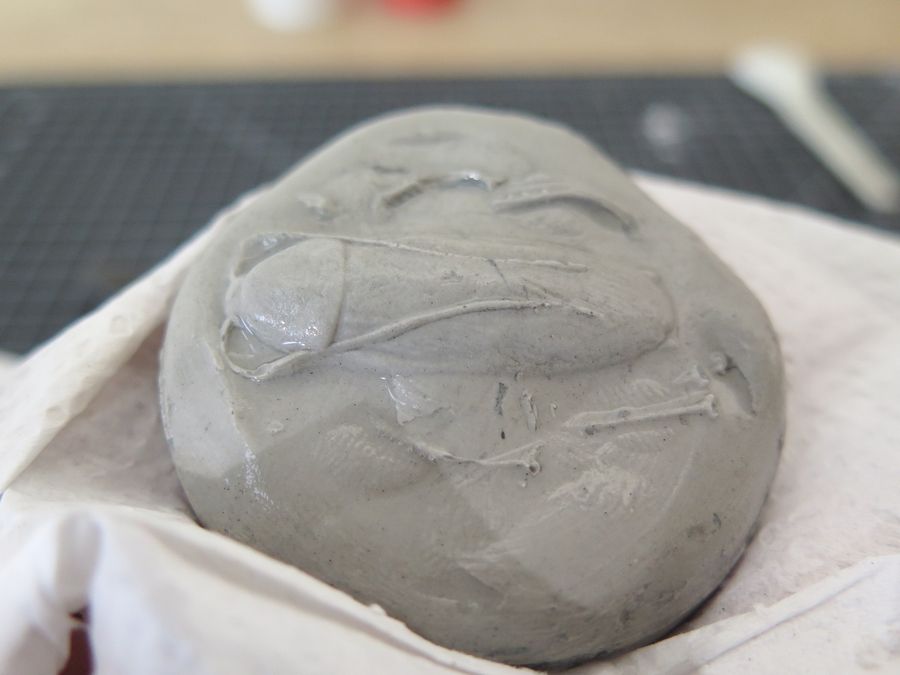 Homemade Fossils! : 5 Steps (with Pictures) - Instructables