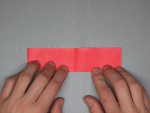 Fold in Half Width-wise, Then Unfold.