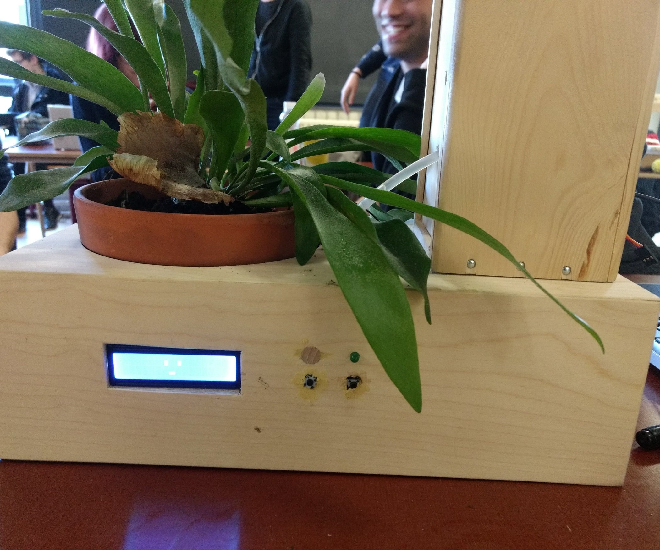 Watering Your Plant Using an Arduino : 5 Steps (with Pictures ...