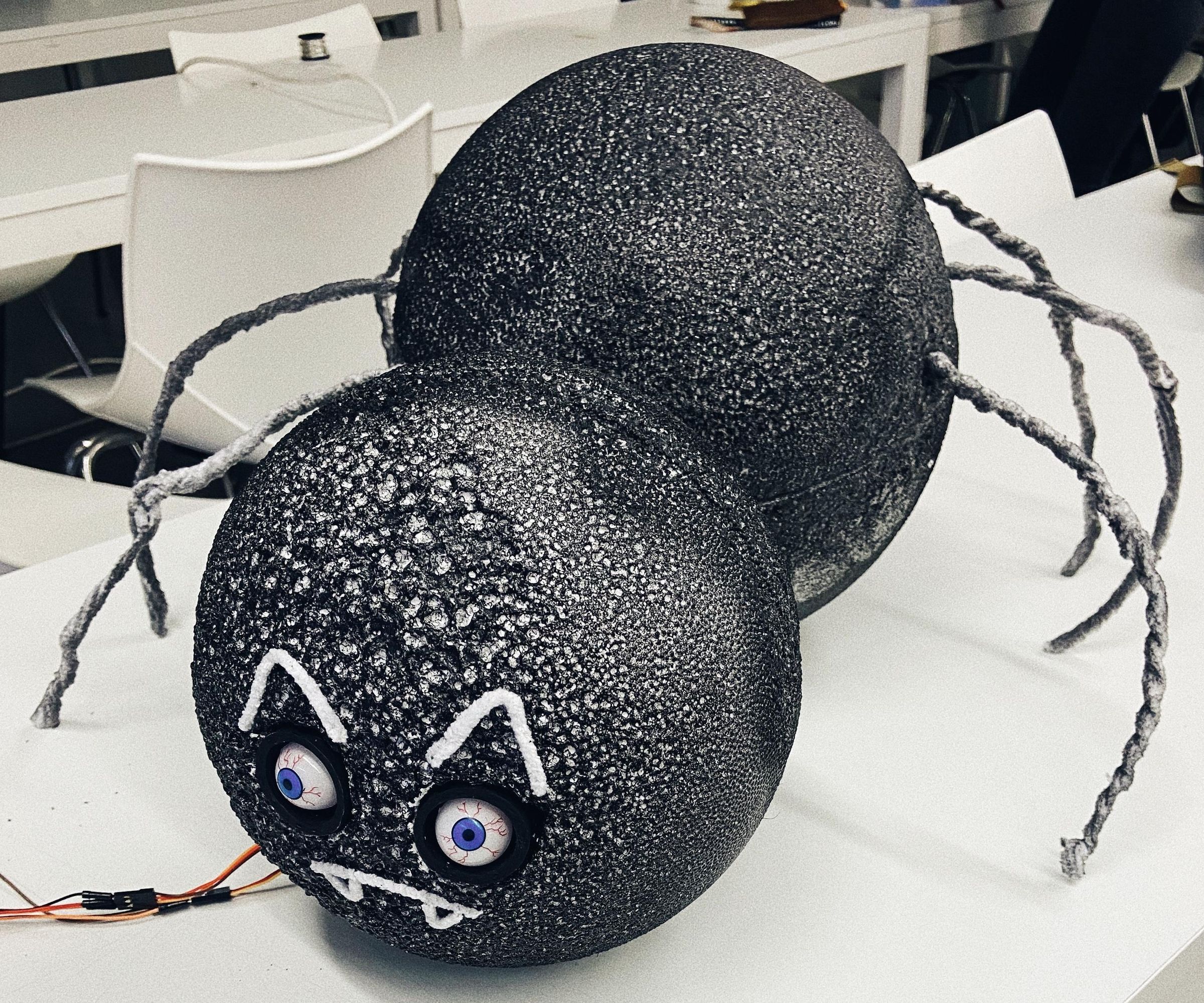 Spooky Googly Eyed Spider