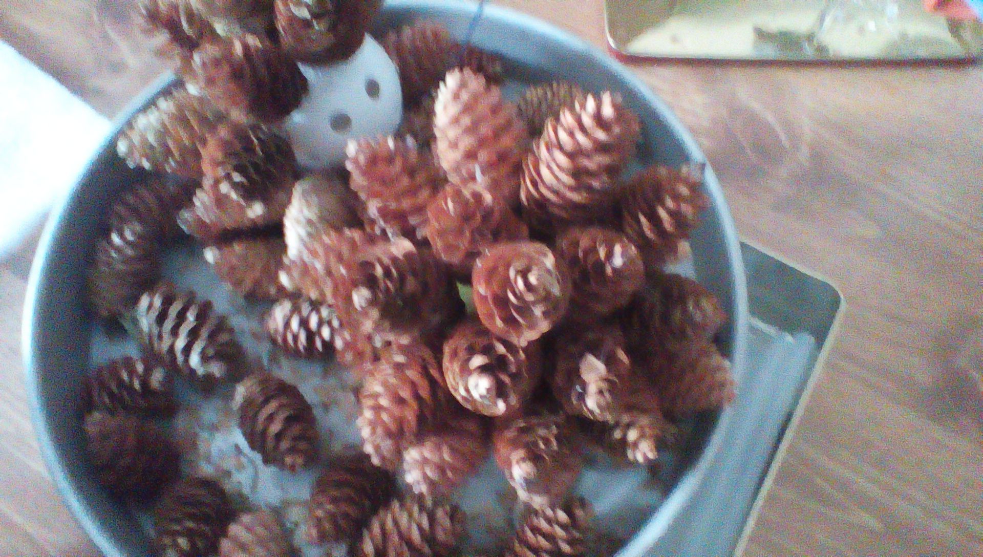 Pine Cone Ball Ornament 3 Steps (with Pictures) Instructables