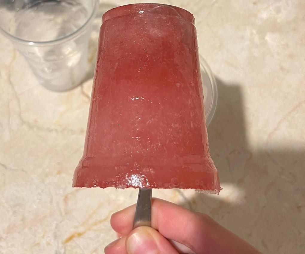 Homemade Popsicles