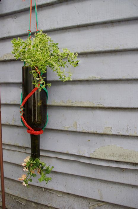 Inverted Wine Bottle Planter : 7 Steps (with Pictures) - Instructables
