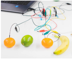 Makey Makey Fruit Piano