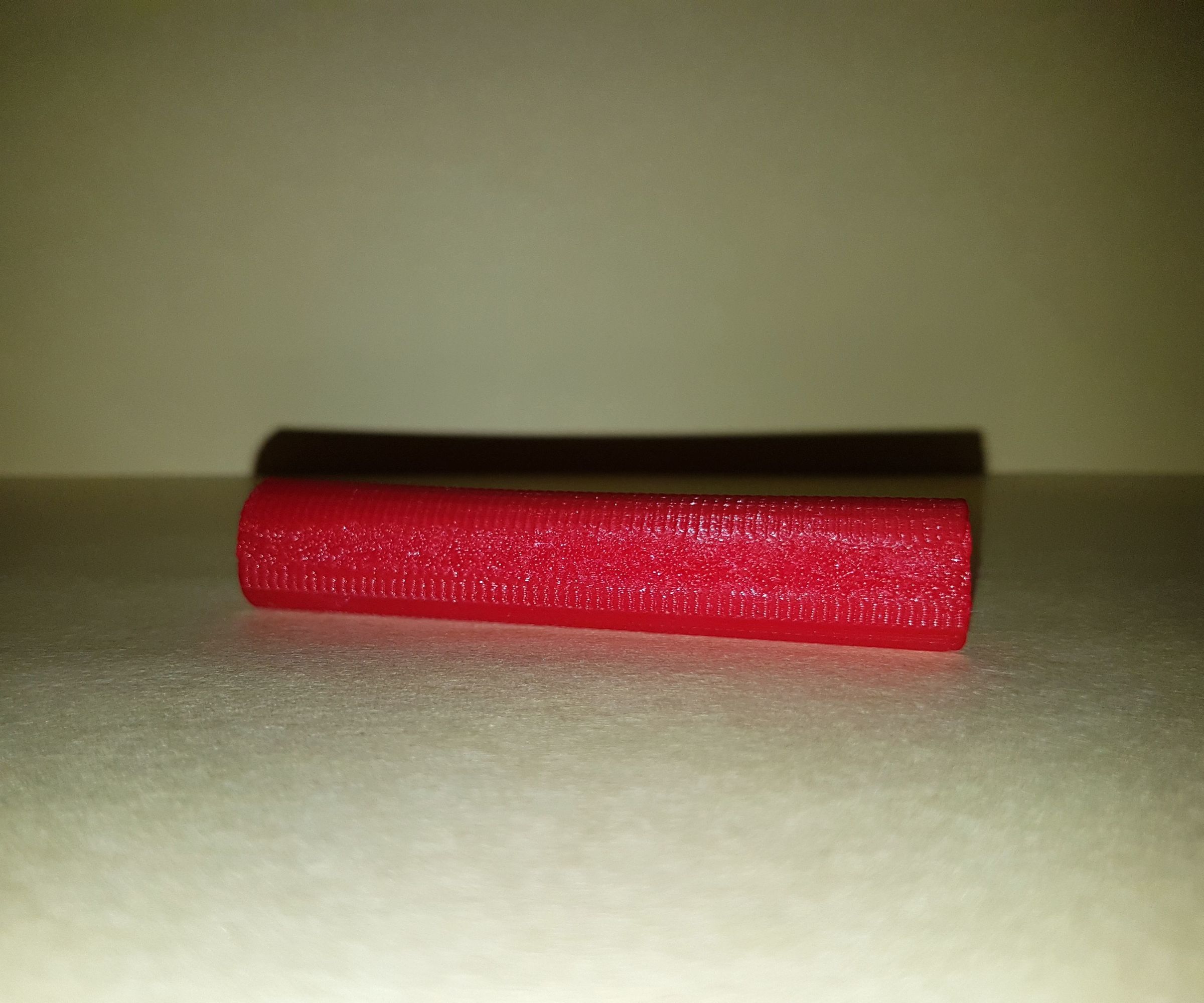 3D Printed Dissection Model - Earthworm