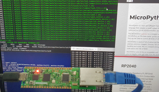  Raspberry Pi Pico(RP2040) MicroPython Network Example