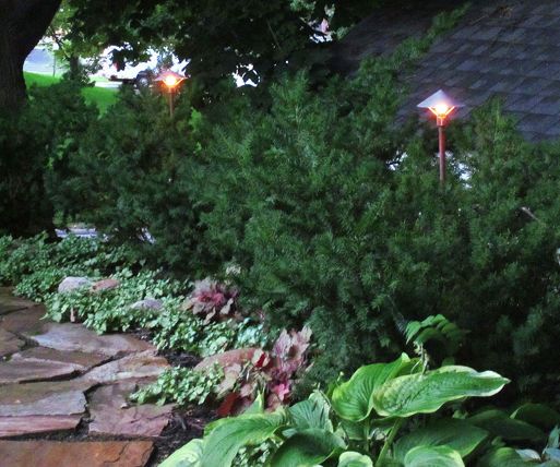 BushLight