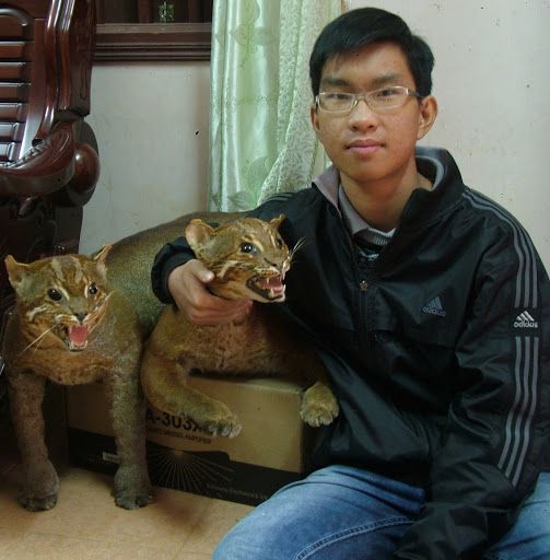 Instructables profile picture for @leminh