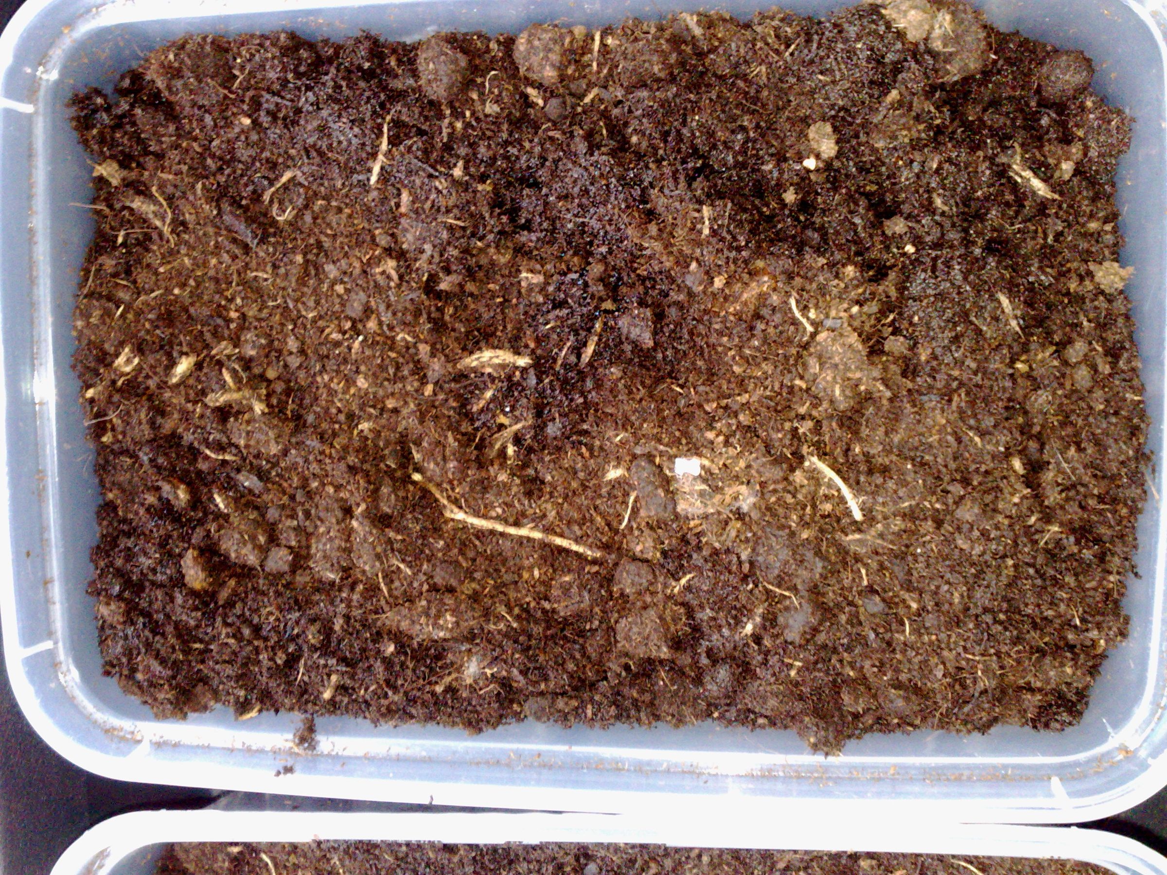 Properduino - When an Engineer Gardens - Part 1 - Le Propergator Watering System