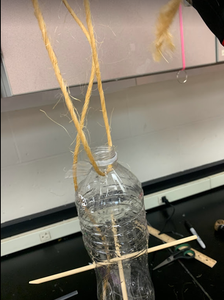 Insert Twine and Chopsticks