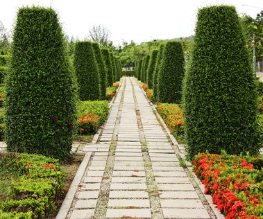 Are UK Plumeria Tropical Gardens Replacing the Classical English Garden in Popularity?