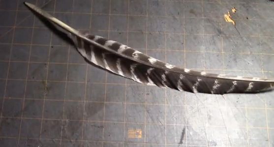Drawing and Cutting Out the Bottom 