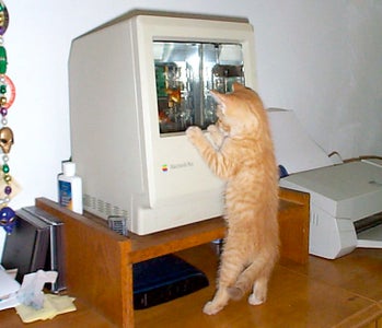 It's an Aquarium!
